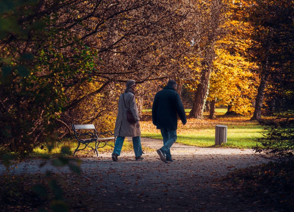 A senior couple walking together along a tree-lined path in an autumn park